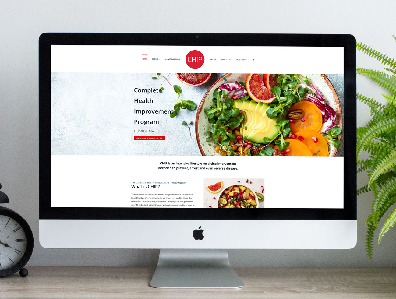 CHIP Health, web design by WatersDesigns