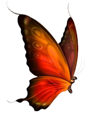 Graphic design butterfly